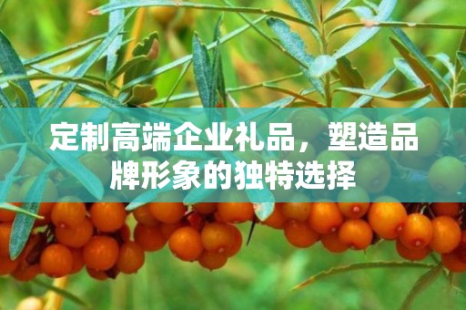 定制高端企业礼品，塑造品牌形象的独特选择